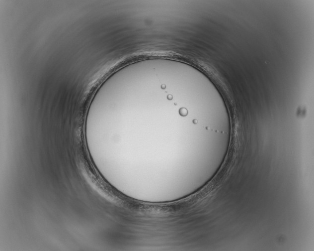 X0000113630533200909181307