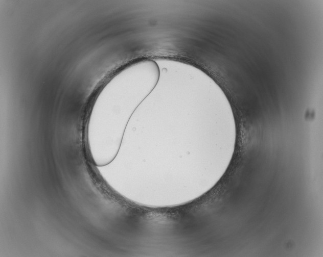 X0000113630534200909181307