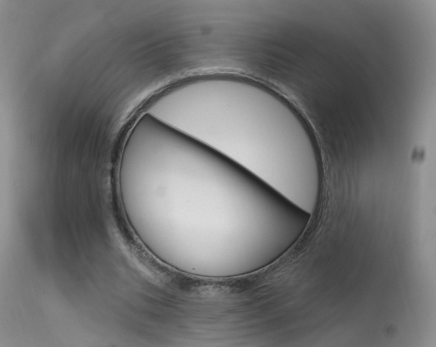 X0000113630535200909181307