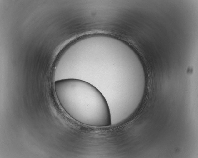 X0000113630536200909181307