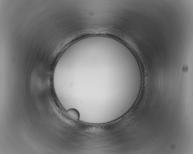 X0000113630537200909181307