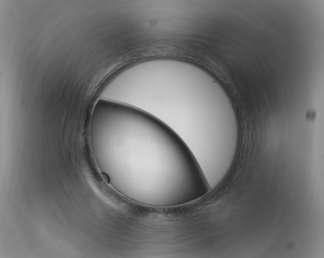 X0000113630538200909181307