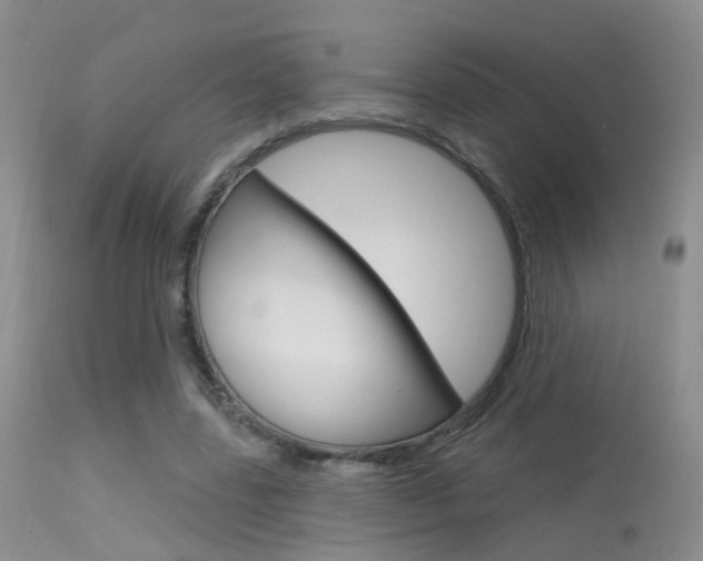 X0000113630539200909181307