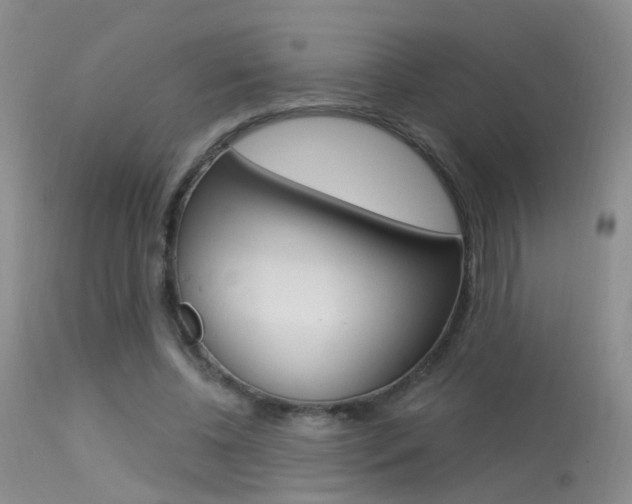 X0000113630540200909181307