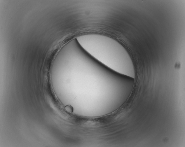 X0000113630542200909181307