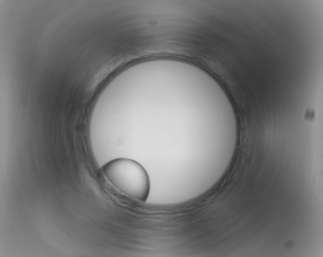 X0000113630544200909181307