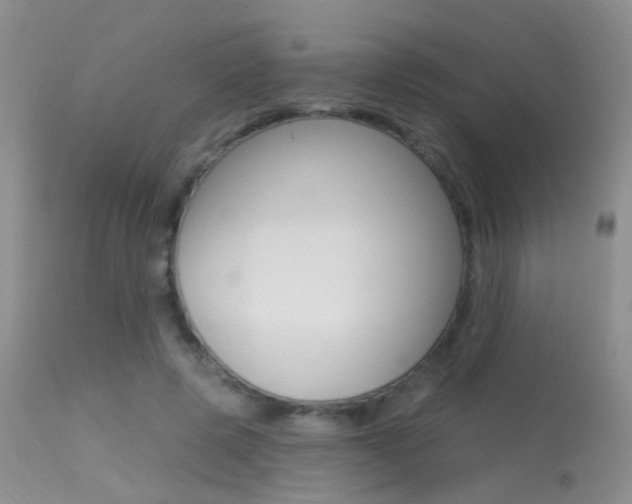 X0000113630545200909181307