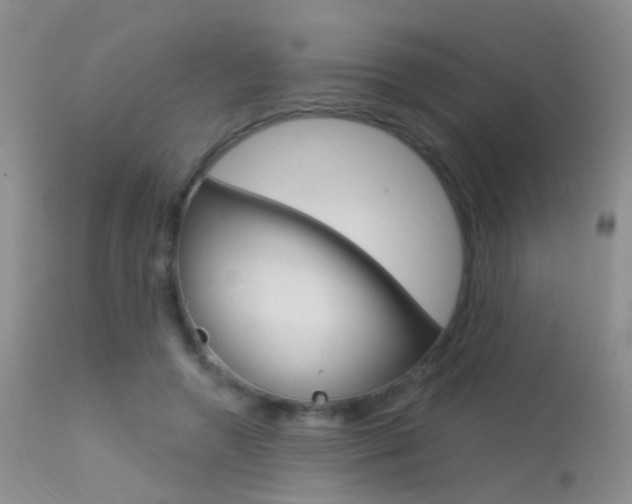 X0000113630546200909181307