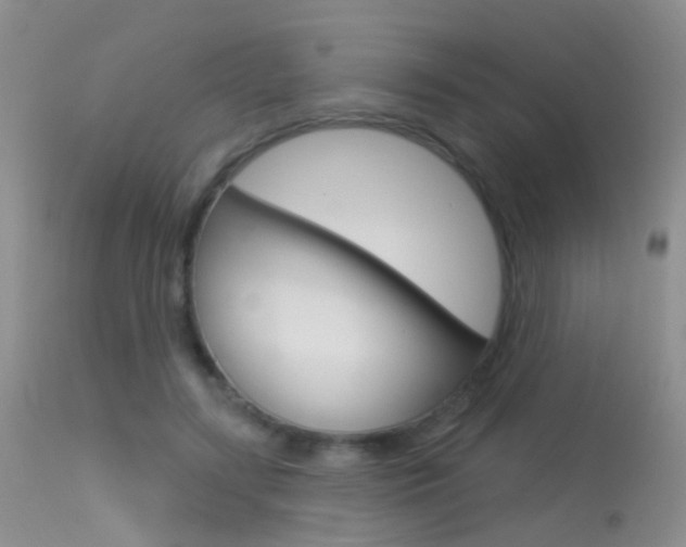 X0000113630547200909181307
