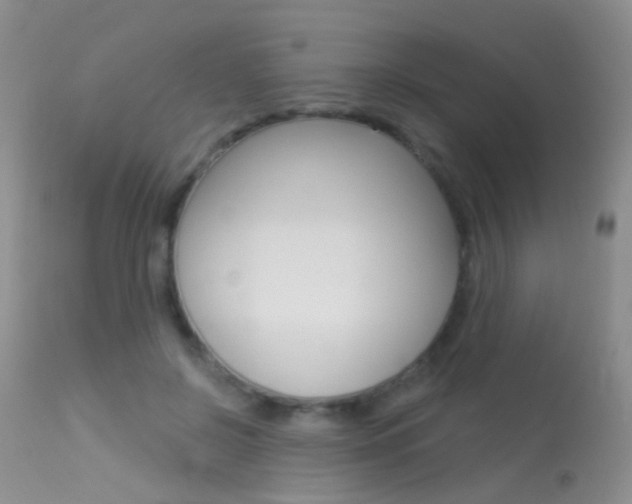 X0000113630550200909181307