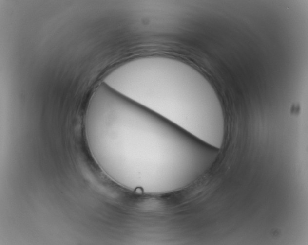 X0000113630551200909181307