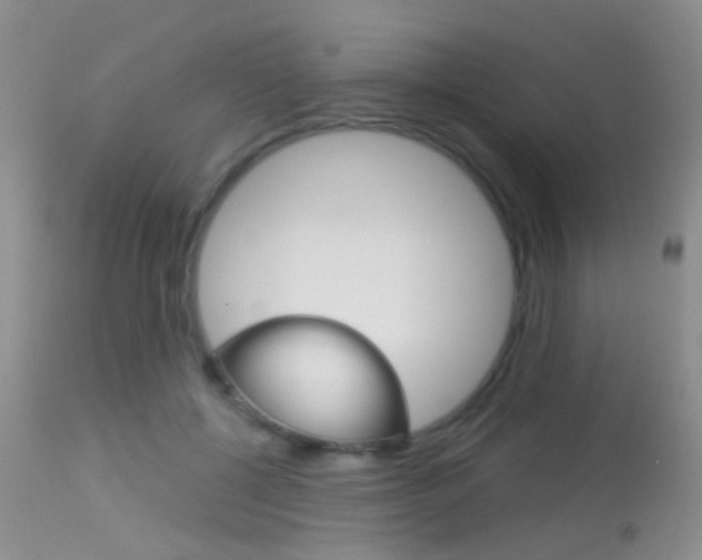 X0000113630552200909181307