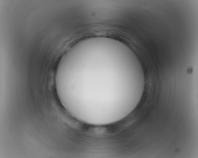 X0000113630554200909181307