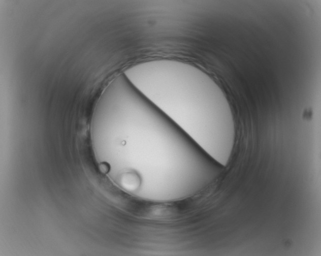 X0000113630555200909181307
