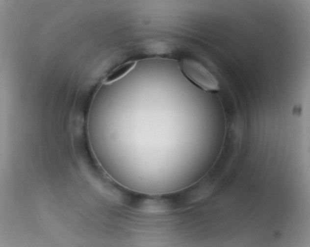 X0000113630556200909181307