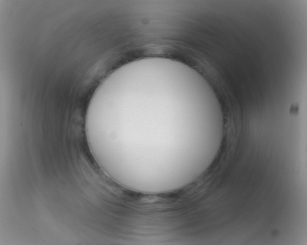X0000113630557200909181307