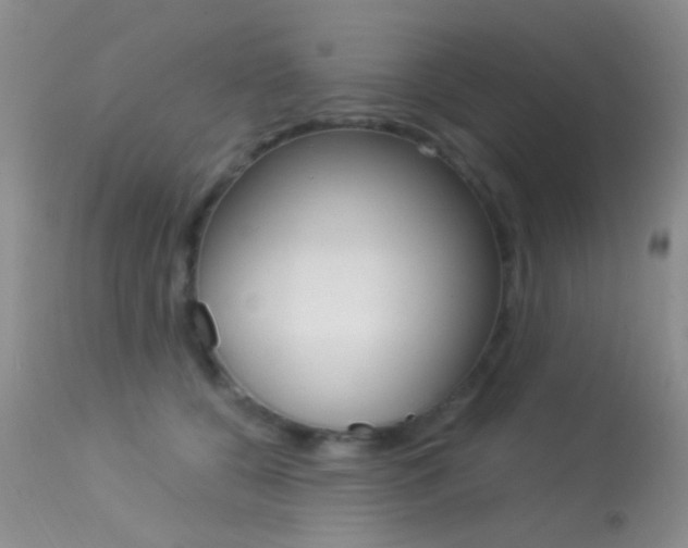 X0000113630560200909181307