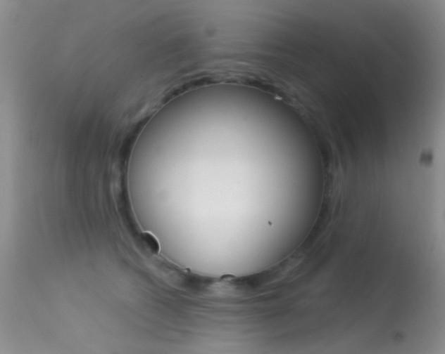 X0000113630562200909181308