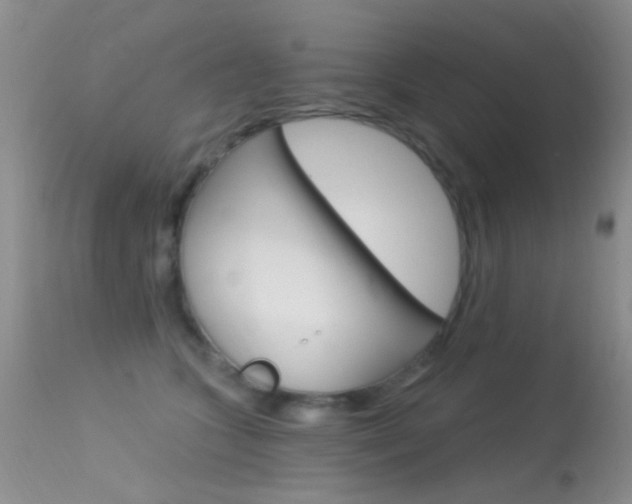 X0000113630563200909181308