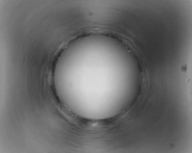 X0000113630564200909181308