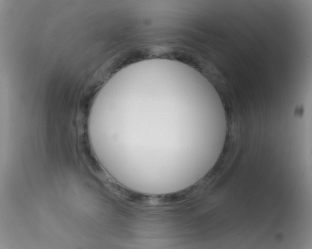 X0000113630565200909181308
