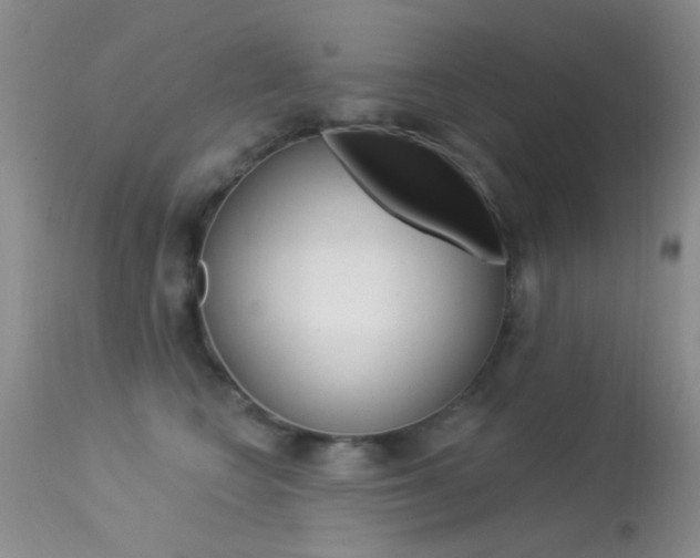 X0000113630566200909181308