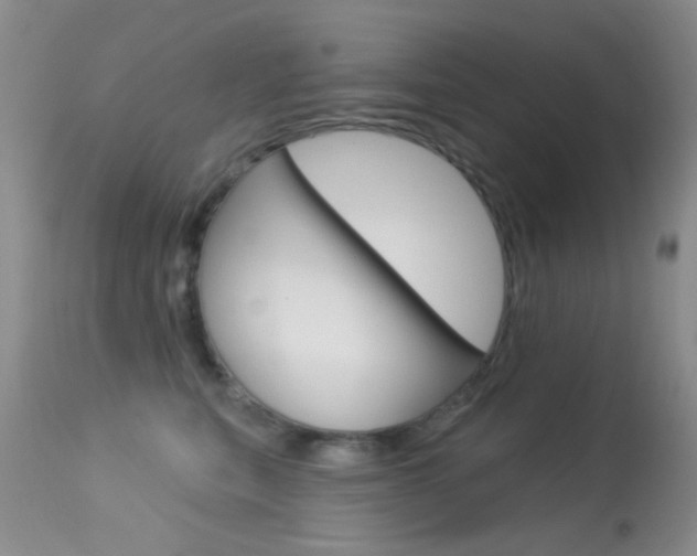 X0000113630567200909181308