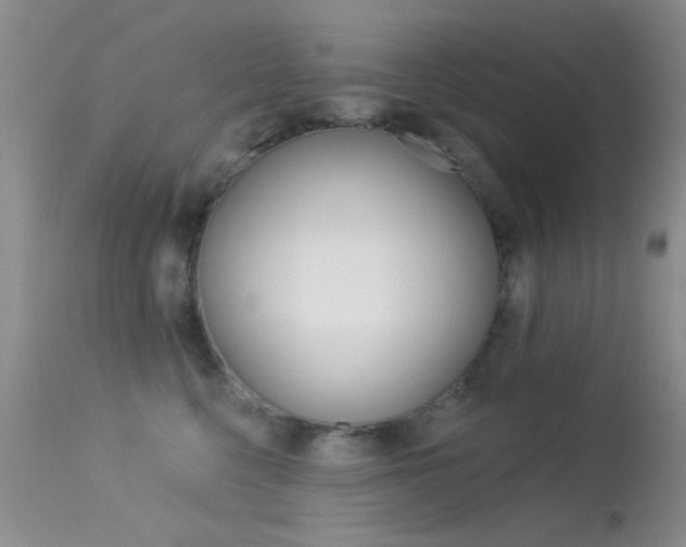 X0000113630568200909181308
