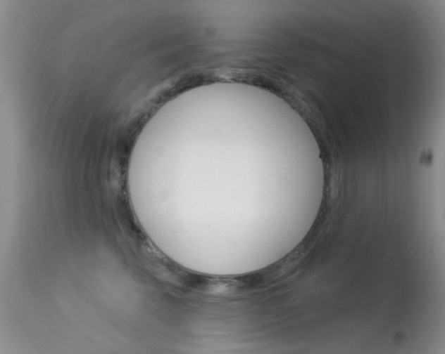 X0000113630569200909181308
