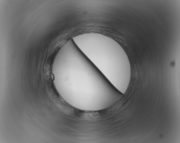 X0000113630571200909181308