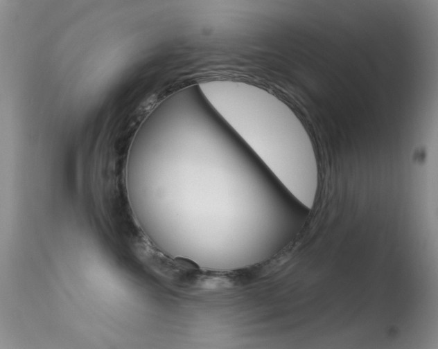 X0000113630572200909181308