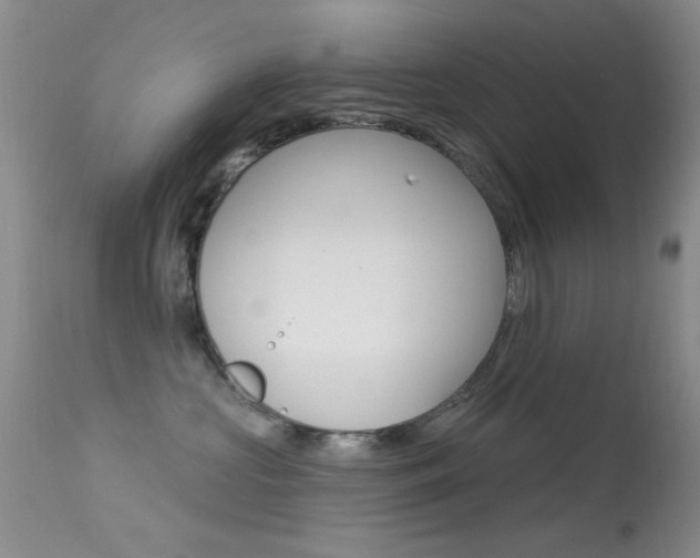 X0000113630573200909181308