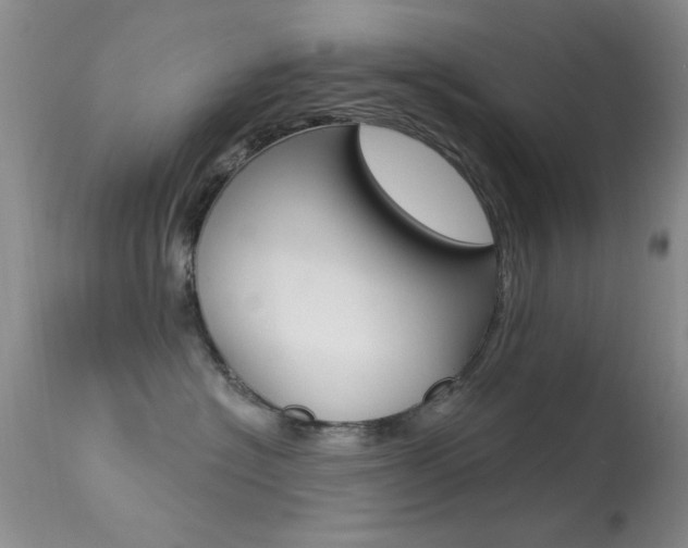 X0000113630574200909181308