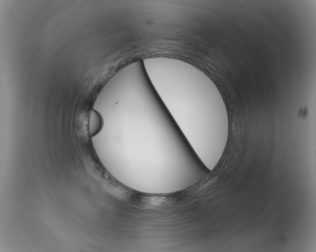 X0000113630575200909181308