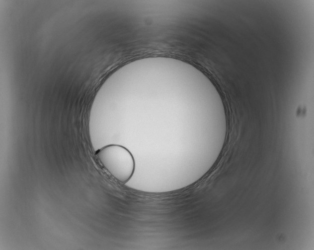 X0000113630576200909181308