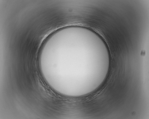 X0000113630579200909181307