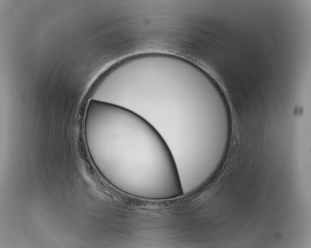 X0000113630580200909181307
