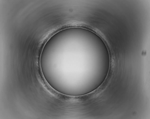X0000113630581200909181307