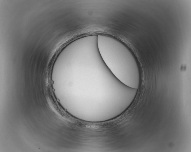 X0000113630582200909181307