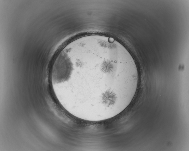 X0000113630584200909181307