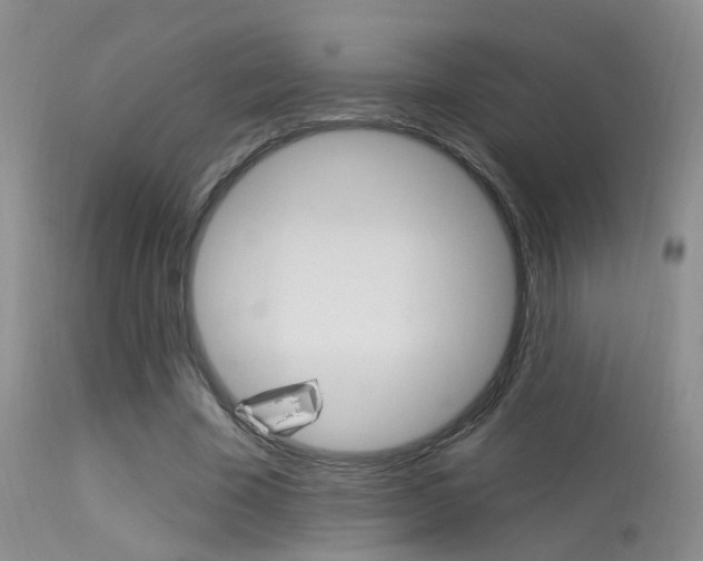 X0000113630585200909181307