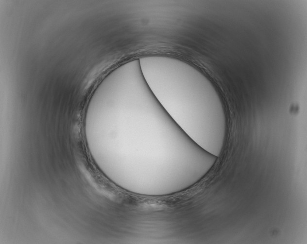 X0000113630586200909181307
