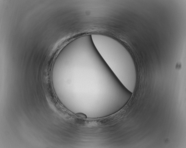 X0000113630587200909181307