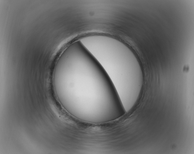 X0000113630588200909181307