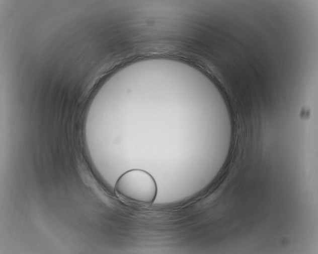 X0000113630589200909181307