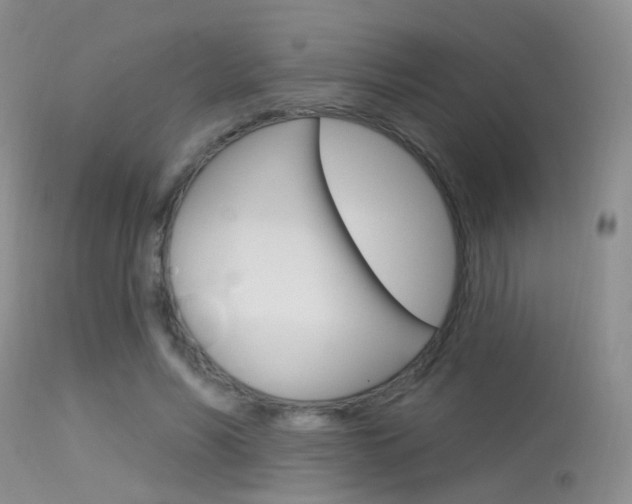 X0000113630590200909181307
