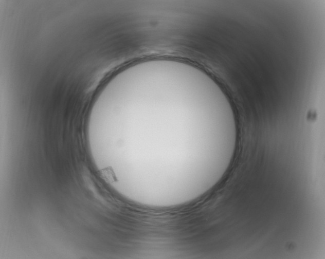 X0000113630592200909181307