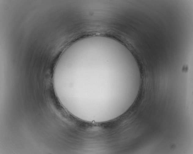 X0000113630594200909181307