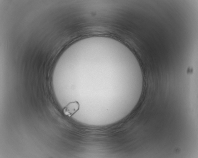 X0000113630597200909181307