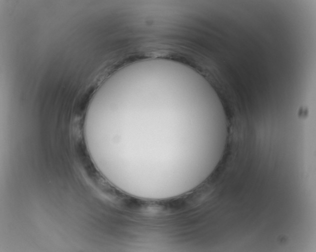 X0000113630598200909181307